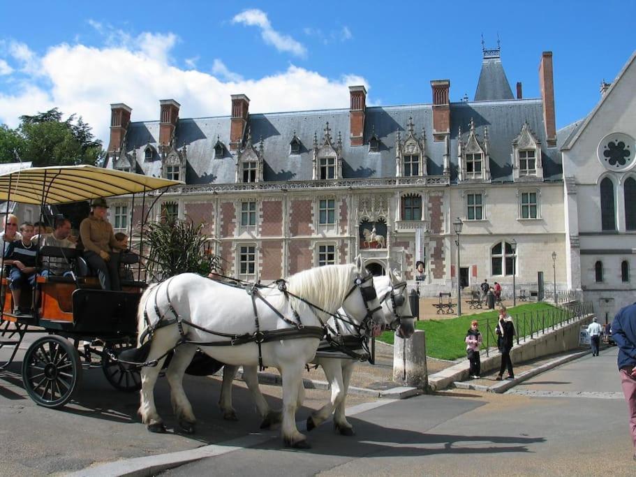 Blois City - Le Petit Louis XII Esterno foto